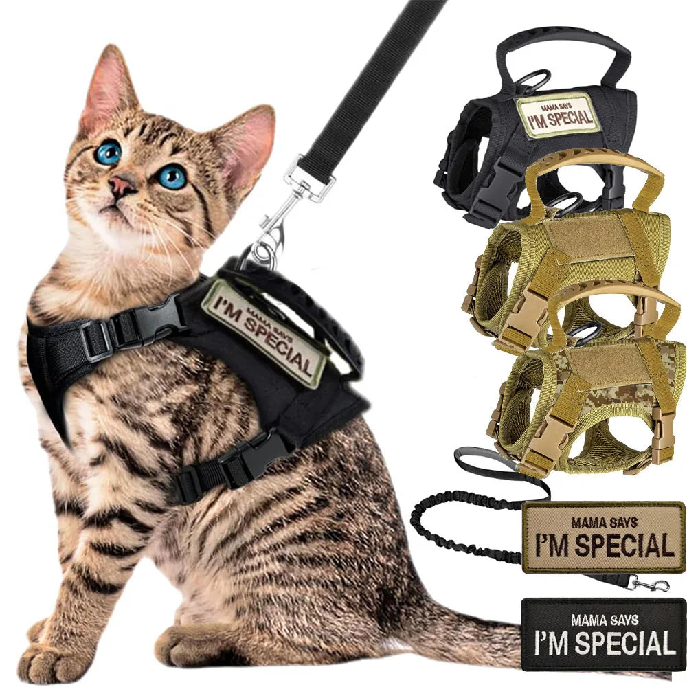 Tactical Cat Harness with Leash – Adjustable Mesh Vest