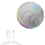 Smart Random Rolling Dog Toy