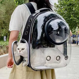 Transparent Bubble Pet Carrier Backpack