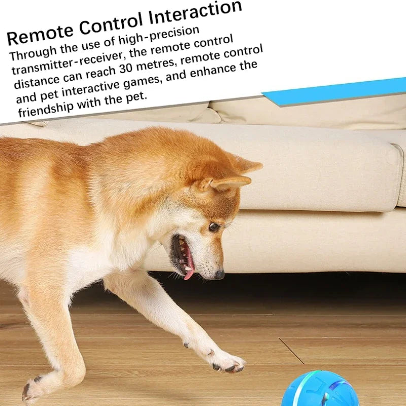 Rechargeable Interactive Pet Toy Ball