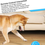Rechargeable Interactive Pet Toy Ball