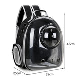Transparent Bubble Pet Carrier Backpack