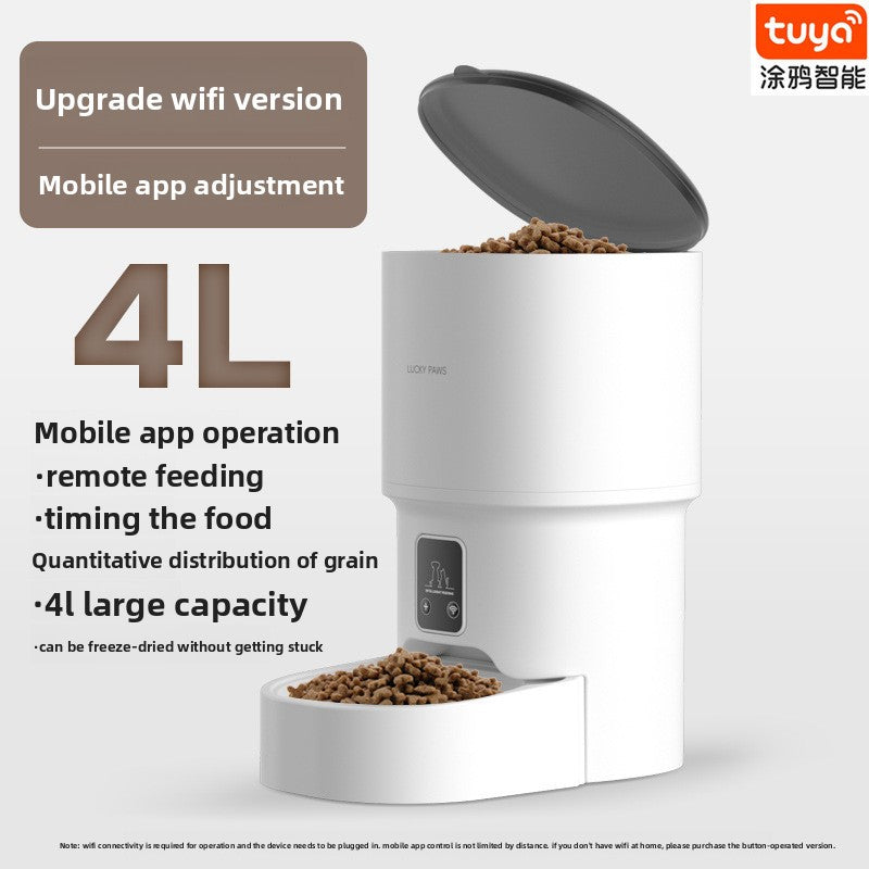 Home With Video Feeder
