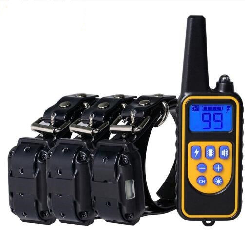 Dog Training Collar
