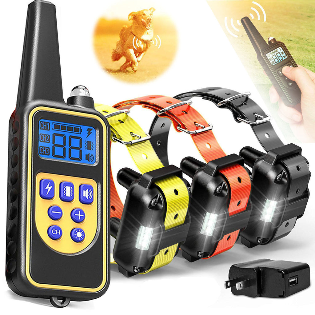 Dog Training Collar