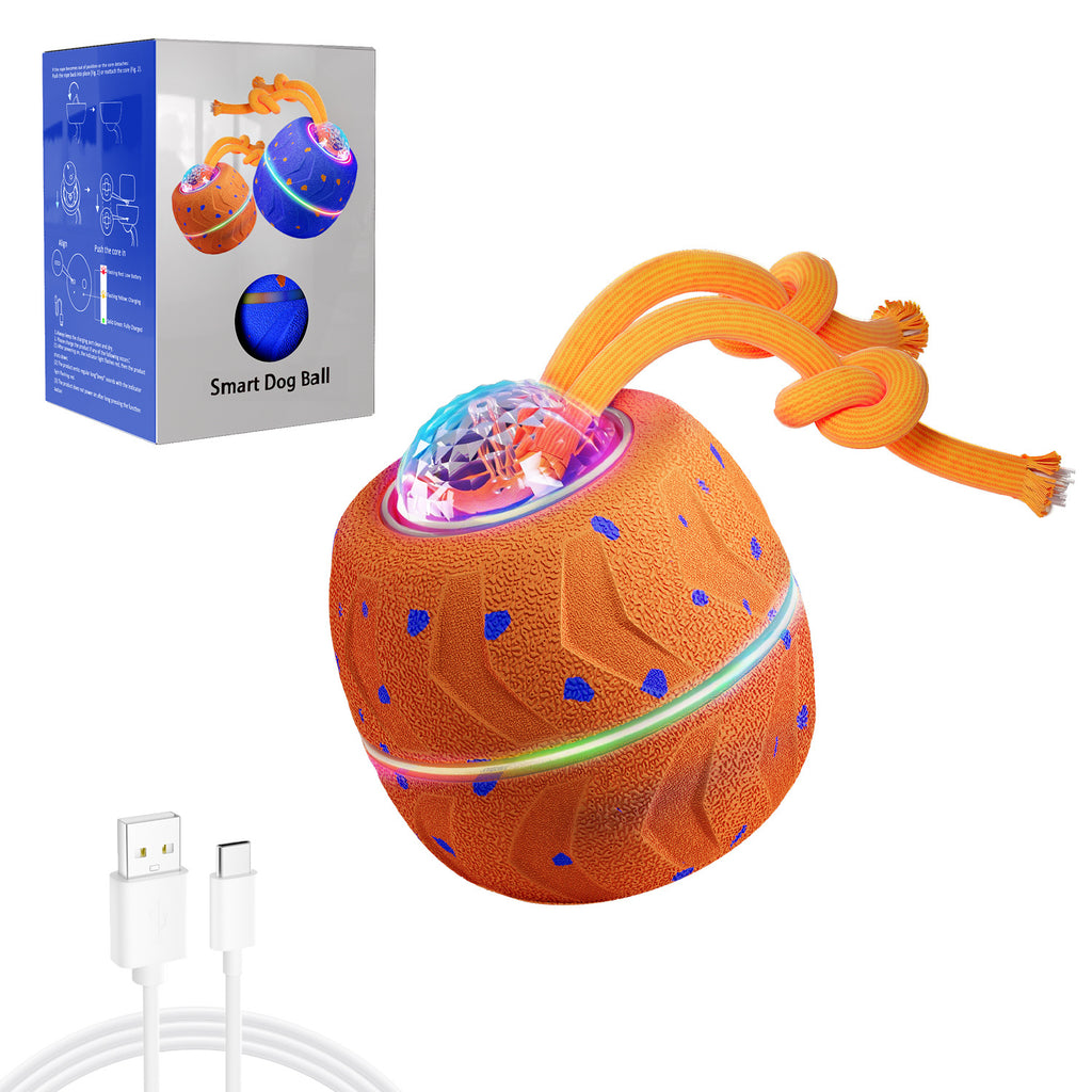 Smart Dog Toys