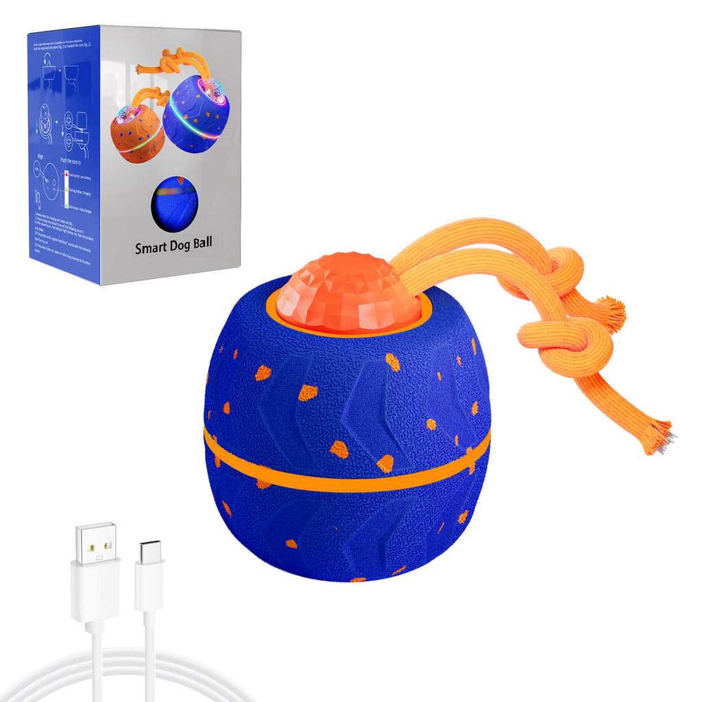 Smart Dog Toys