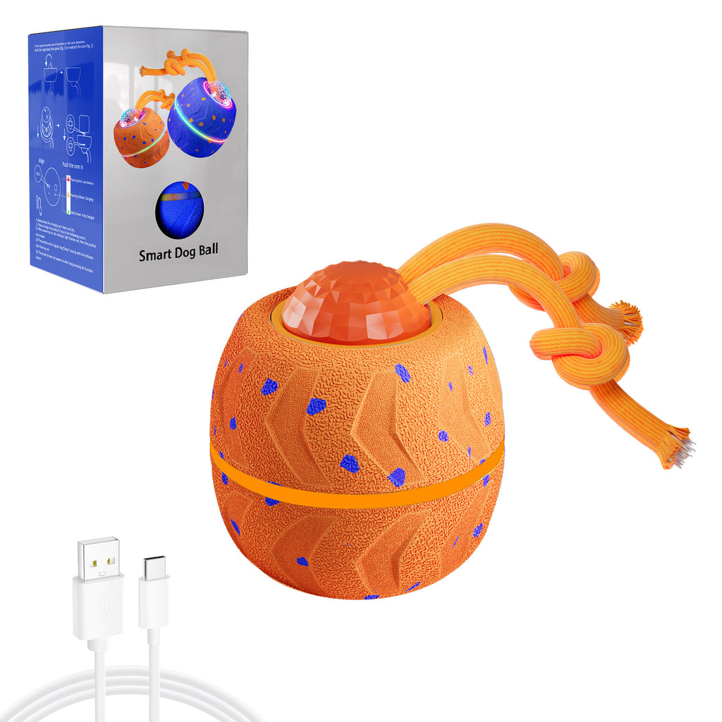 Smart Dog Toys